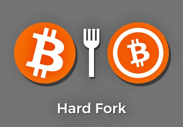 What is a Fork in Crypto?