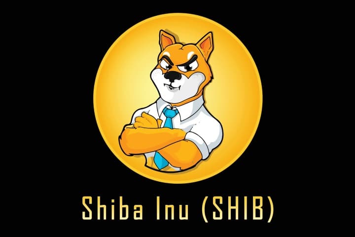 Can Shiba Inu Make You Rich and is Shiba Inu Halal?