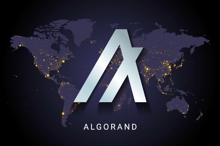 What Makes Algorand Unique and is Algorand Halal?