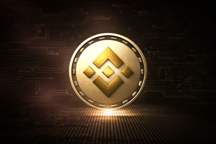 What is the purpose of Binance Coin?