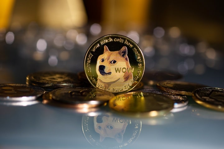 Is it too late to invest in Dogecoin?